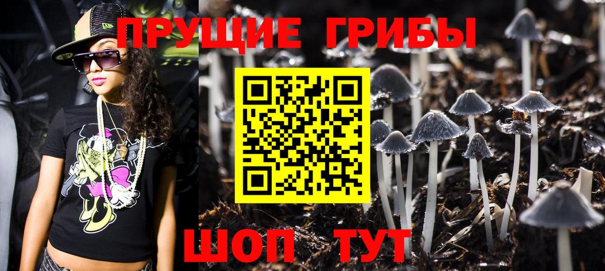 Минеральные Воды  Галлюциногенные грибы прущие грибы  Вход с VPN 