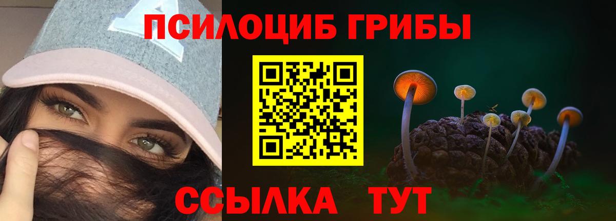 Псилоцибиновые грибы ЛСД Минеральные Воды